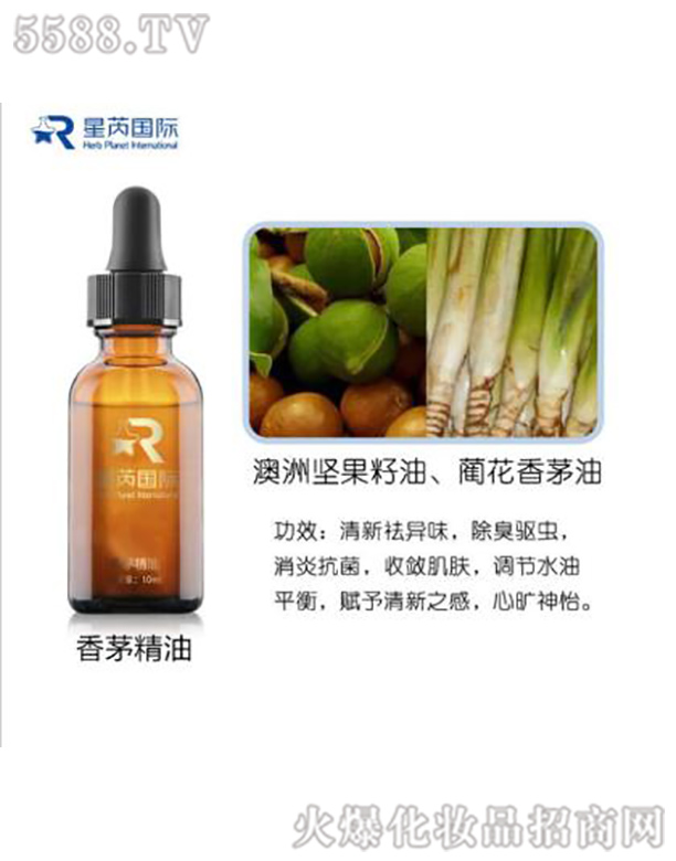 �V�|��������Ƽ����޹�˾����é����