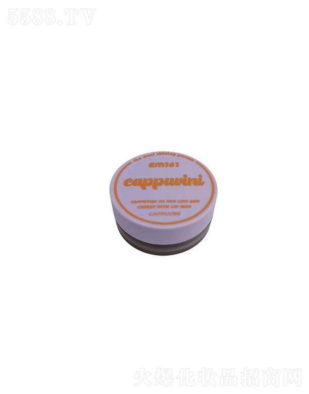 ���^�Ѕf(xi��)����������޹�˾��Cappuvini�pƴ����