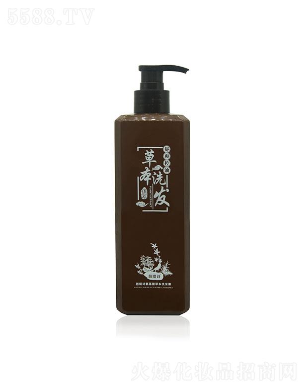 �V�ݽ�ʥ�I(y��)����Ƽ����޹�˾���ž�Ԋ(sh��)�ݱ�ϴ�l(f��)ˮ500ml