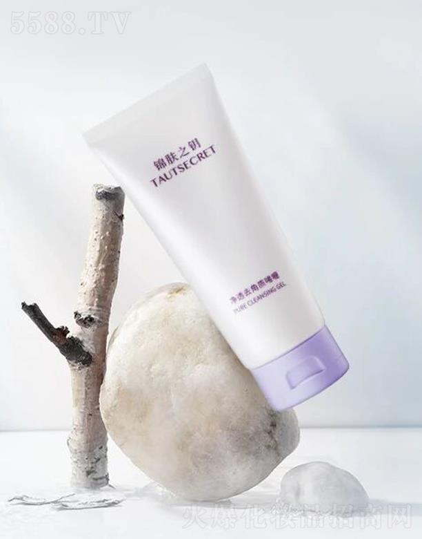 ���棨�Ϻ�������Ƽ����޹�˾���\�w֮考�͸ȥ���|(zh��)���