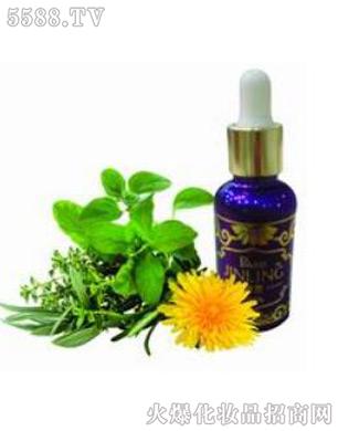 �a���B(y��ng)����ˎ��