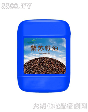 �������K����