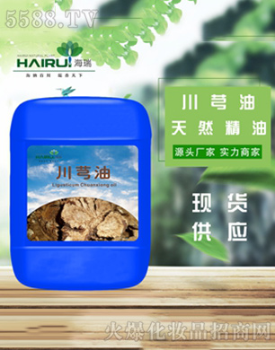 ����ܺ����