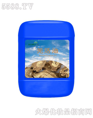 ����Ǽ���