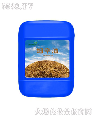 ����(x��)������