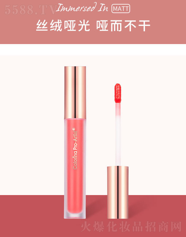 �����A�����F�z�q����-�Nޱɫ