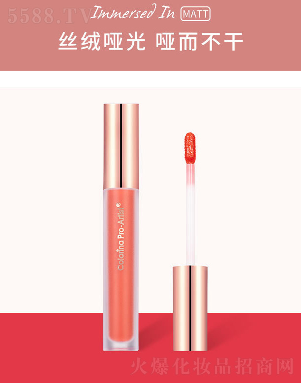 �����A�����F�z�q����-������