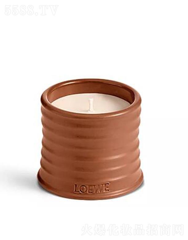 �_�����������㾫Ϟ�T