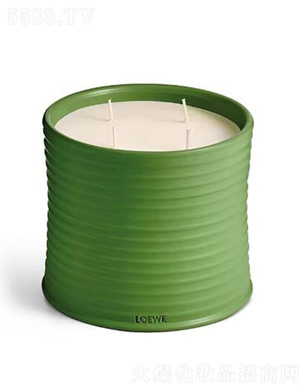 �_������̖���㶹�㾫Ϟ�T