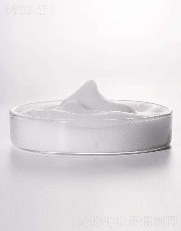 ���������ݝ���Ľ˹