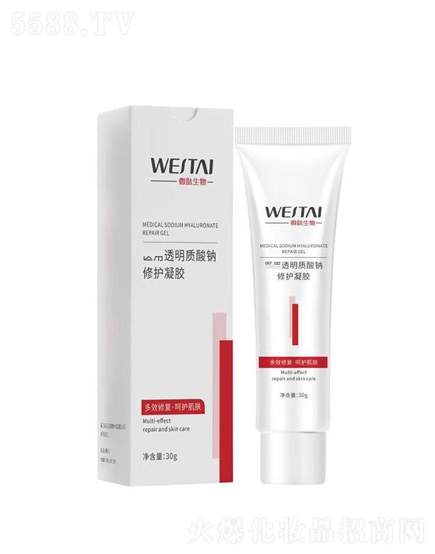 ΢���t(y��)��͸���|(zh��)���c���o(h��)���z