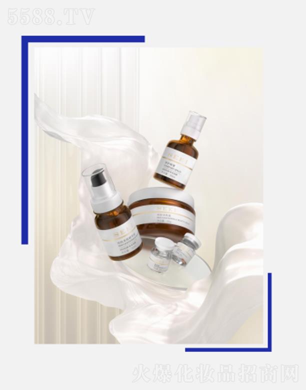 SEKI�z�����������w���ϵ��