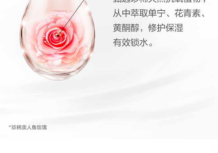 �ŭZ������͸��õ�弃¶