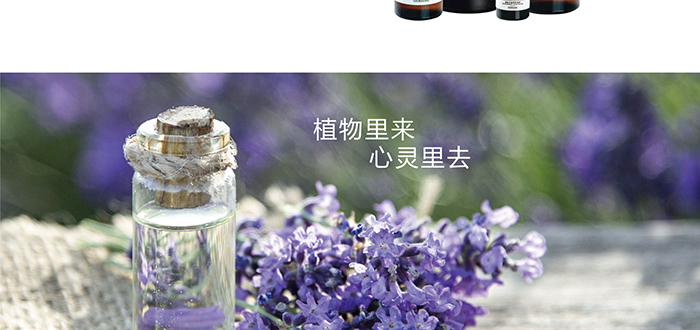 �η�����_03